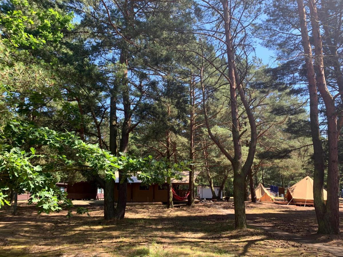 Camp Bursztynowy Las Gdaňsk Exteriér fotografie